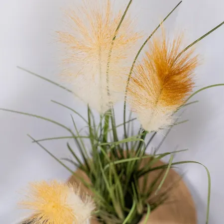 Turistico Lux Center * Valenza