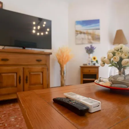 Lovely Near The & Of Arts And Sciences Valensiya