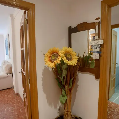 Lovely Near The & Of Arts And Sciences * Valencie