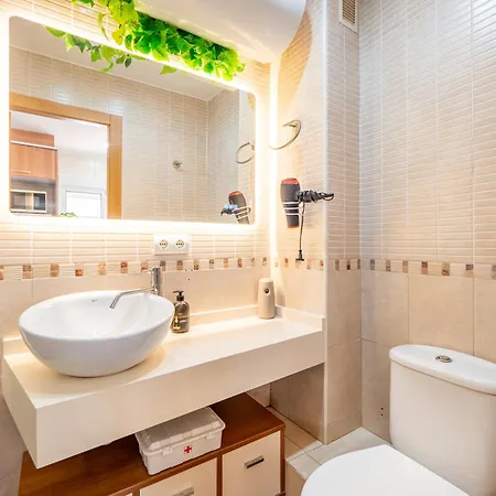 Atico De Lujo Plaza Ayuntamiento *