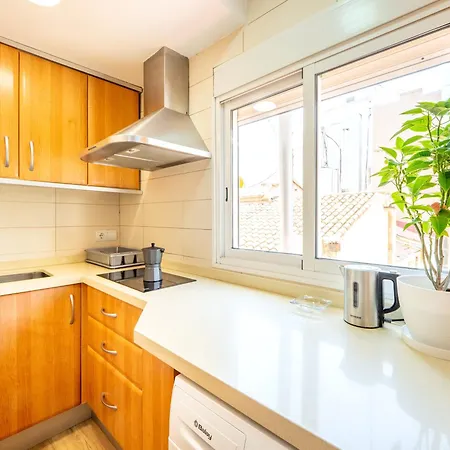 Atico De Lujo Plaza Ayuntamiento Appartement