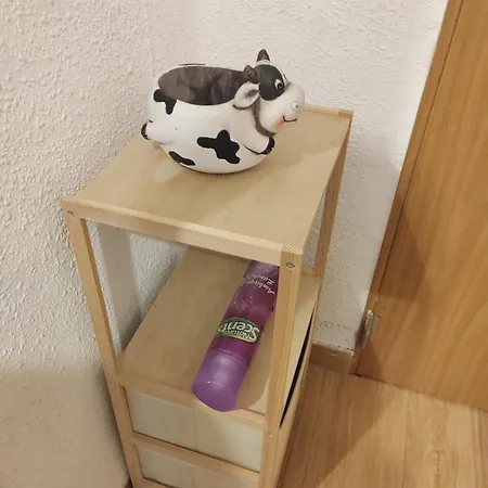 Leticia 瓦伦西亚