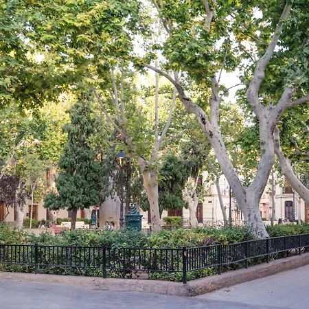 Cozy Up Spain Valenza