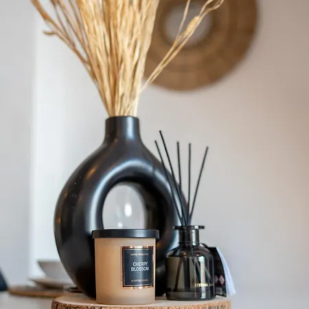 Loft Industrial Doble Altura Appartement Valence