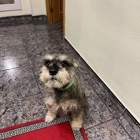 Bonita Y Comoda Apartamento Valência