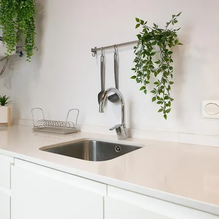 De Diseno En La Plaza Del Carmen F1 *