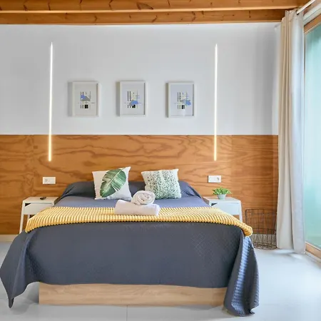 Soleado En Plaza Del Carmen *