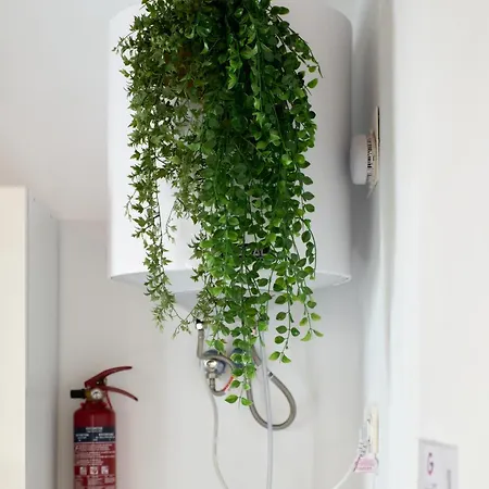 Soleado En Plaza Del Carmen