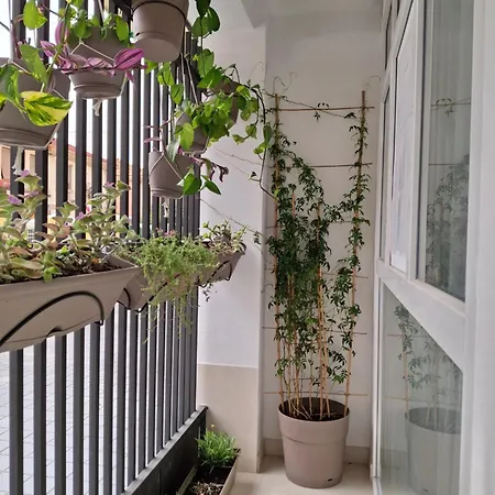 Bonito De 2 Cerca De La Estacion Joaquin Sorolla