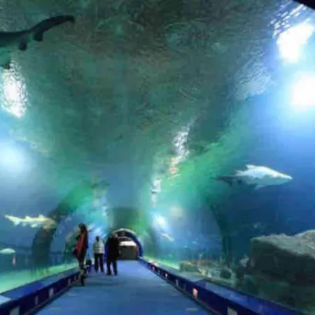 Daire Ruzafa Oceanograf Science Center *