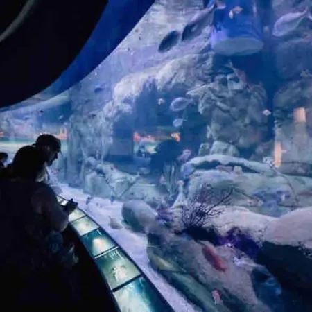 Apto Ruzafa Patio Center Science Oceanografic * Валенсия