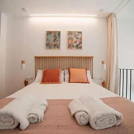 Lofts Plaza Jm Orense B Apartment Valencia