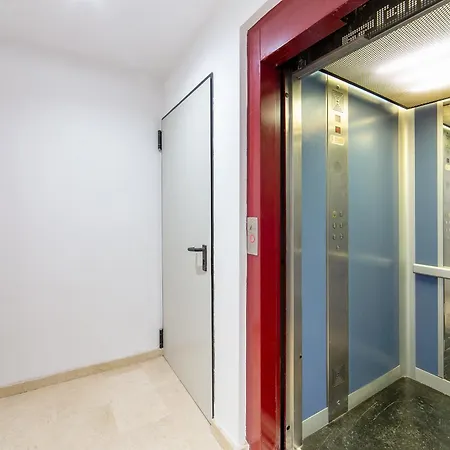 Albufera Dreams Nature 瓦伦西亚