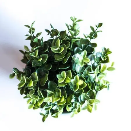 アパート Precioso Atico En Pleno Centro De *