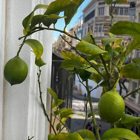 Ξενοδοχείο El Siglo