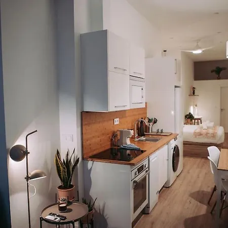 Nuevo Y Acogedor Loft En Amistat *