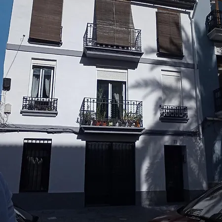 Casa Con Palmera - Port *