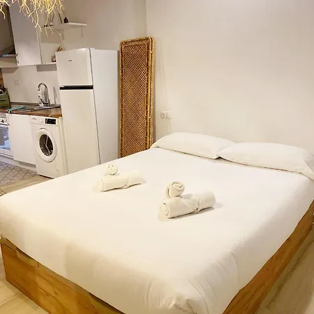 Estudio En El Centro Historico De * Valencie