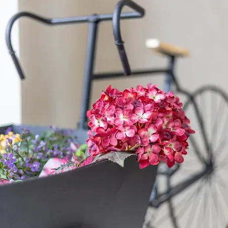 公寓 Che Loft! Artes Y Ciencias