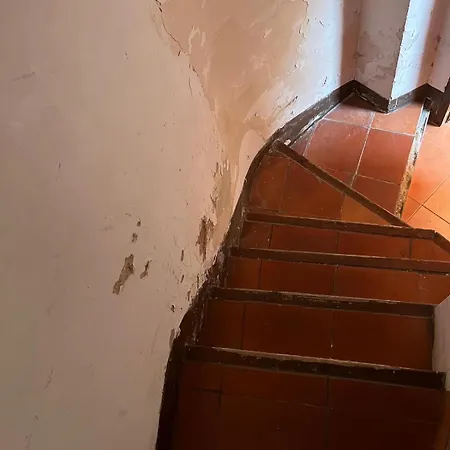 Florit Flats - The Market And Lonja アパート バレンシア