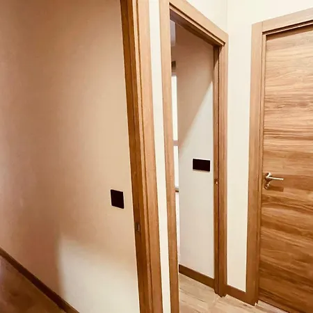 Optimus Comfort Campoamor 101 *