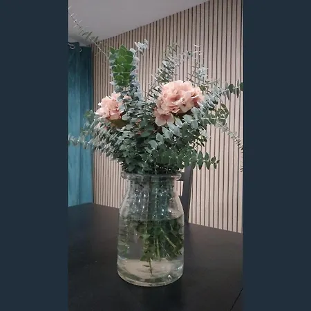 Familias Y Grupos Muy Grande En El Centro De *