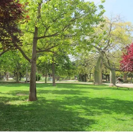 公寓 Mestalla Flats & Rut 瓦伦西亚