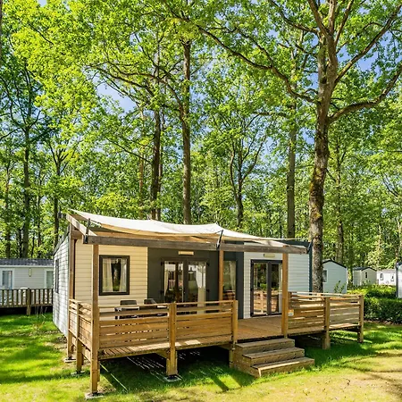 District Key - Valencia, Plaza Del Cedro