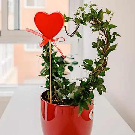 شقة Cabanal House - 10 Min To Ocean , Fastwifi , Smarttv, Ac