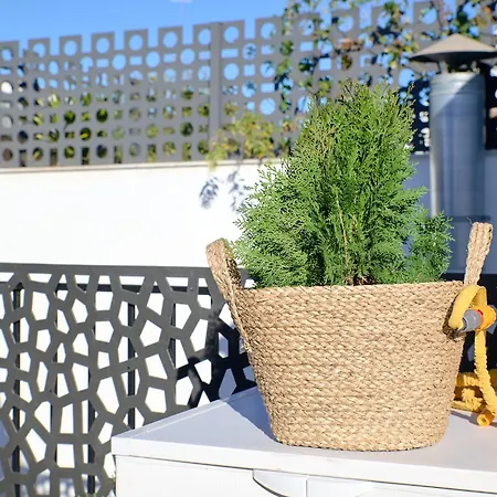 Ciutat Vella Modern Apartment