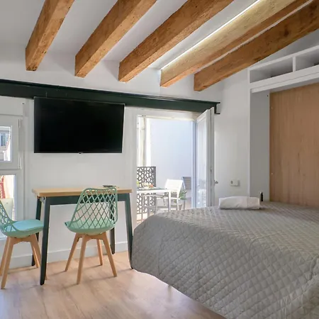 Ciutat Vella Modern Apartament