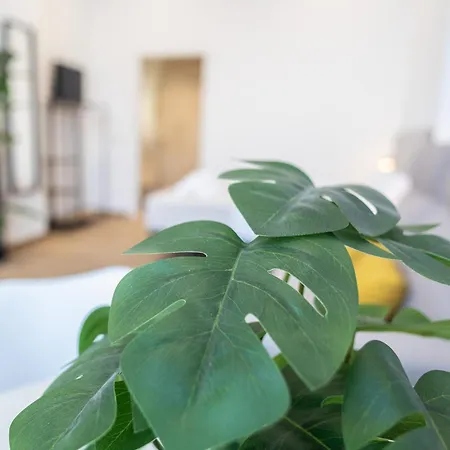 Les Arts Plaza By Concept Flats *