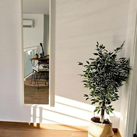 Ciudad De Ciencias - Ciudad De Les Arts