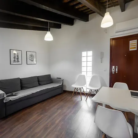Apartment Murillo Attic