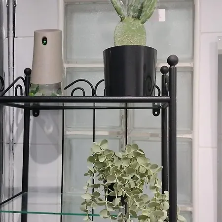 Familias Y Grupos Muy Grande En El Centro De * 瓦伦西亚