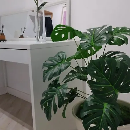 公寓 Familias Y Grupos Muy Grande En El Centro De