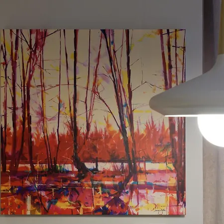 Osito Hub - Colomer Valencia