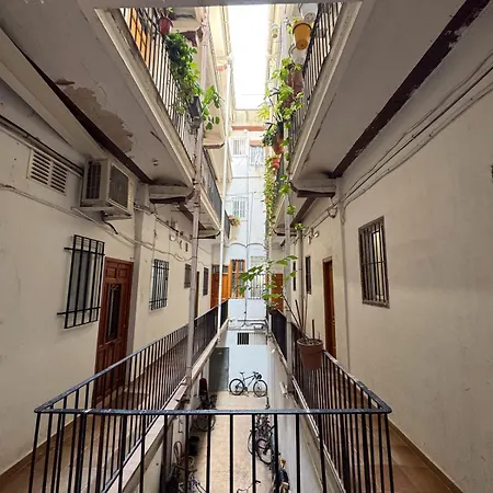 Botanico Silence * Valence