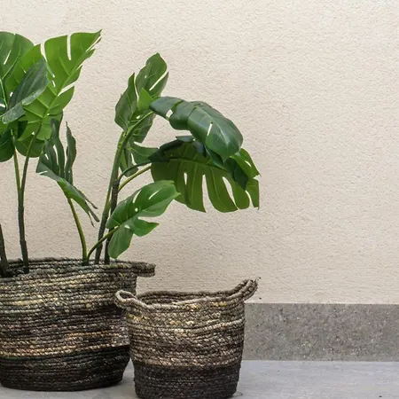 Osito Hub - Duque De Gaeta Διαμέρισμα Βαλένθια