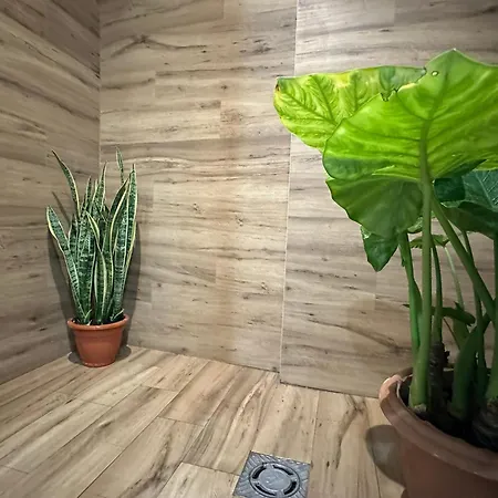 La Fonda De Olympia Apartman Valencia
