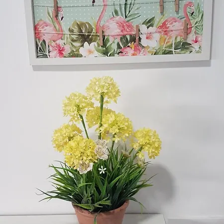 아파트 Malvarrosa Arena *