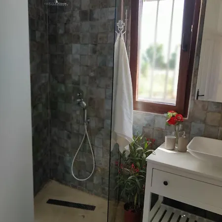 Relaxing House Overlooking Beautiful Of Arts Валенсия