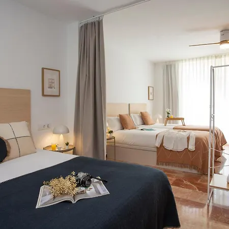 Singularstays Palau De La Musica Lofts Valencie