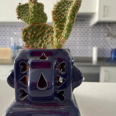 Charming Fisherman's House Cabanyal Cabanal Tatil Evi *