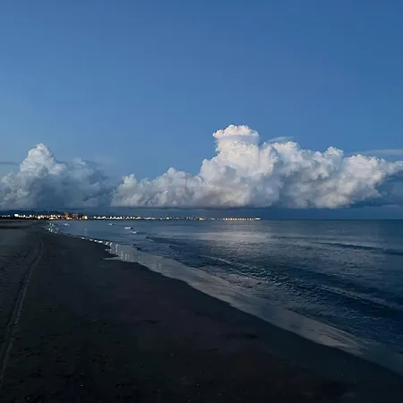 Apartment Stylish Well-connected Beachfront Flat