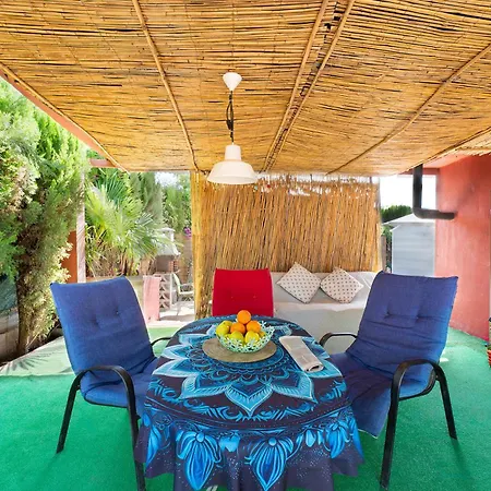 Orange Blossom Unique