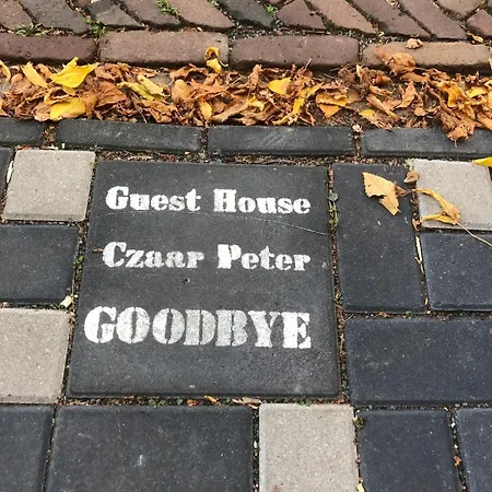 Guesthouse Czaar Peter Room 1 Apartment Valencia