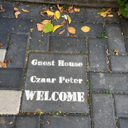 Guesthouse Czaar Peter Room 1 Valencia