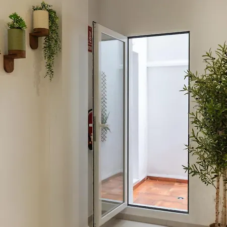 Vlc Host - Alfaro A فالنسيا