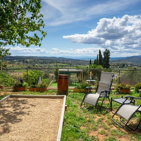 Beautiful With Huge Private Pool And Vineyard View